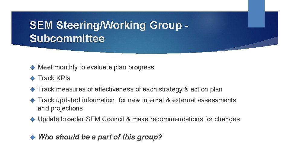 SEM Steering/Working Group Subcommittee Meet monthly to evaluate plan progress Track KPIs Track measures