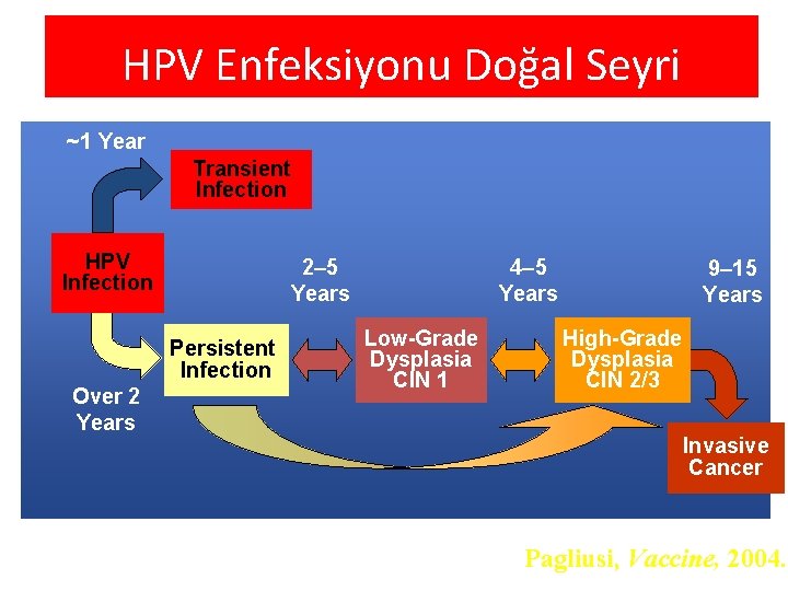 HPV Enfeksiyonu Doğal Seyri ~1 Year Transient Infection HPV Infection 2– 5 Years Persistent