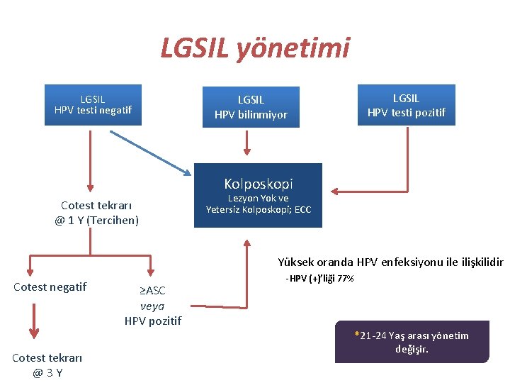 LGSIL yönetimi LGSIL HPV testi negatif LGSIL HPV bilinmiyor LGSIL HPV testi pozitif Kolposkopi