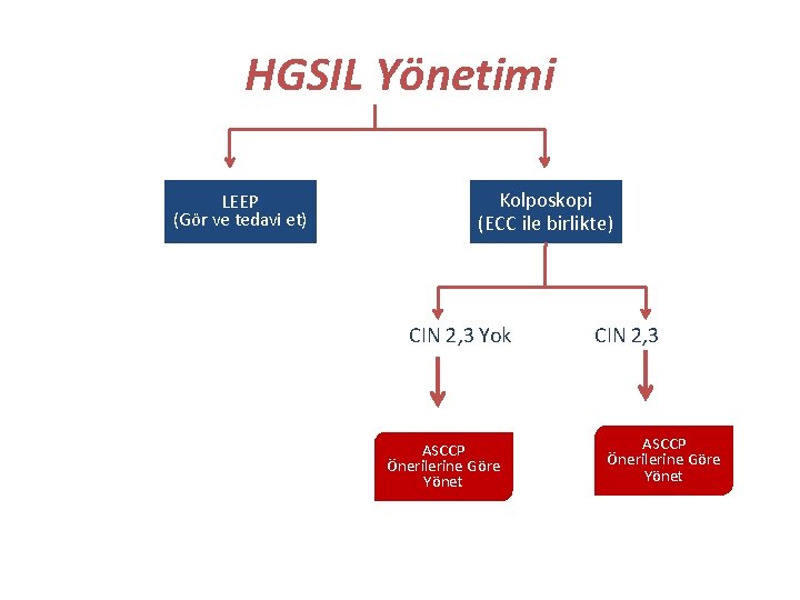 HGSIL Yönetimi LEEP (Gör ve tedavi et) Kolposkopi (ECC ile birlikte) CIN 2, 3