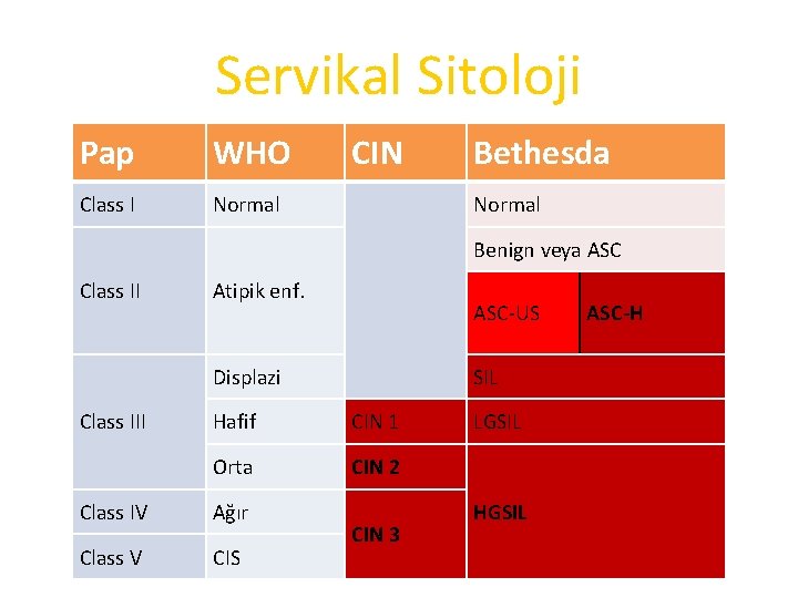 Servikal Sitoloji Pap WHO Class I Normal CIN Bethesda Normal Benign veya ASC Class