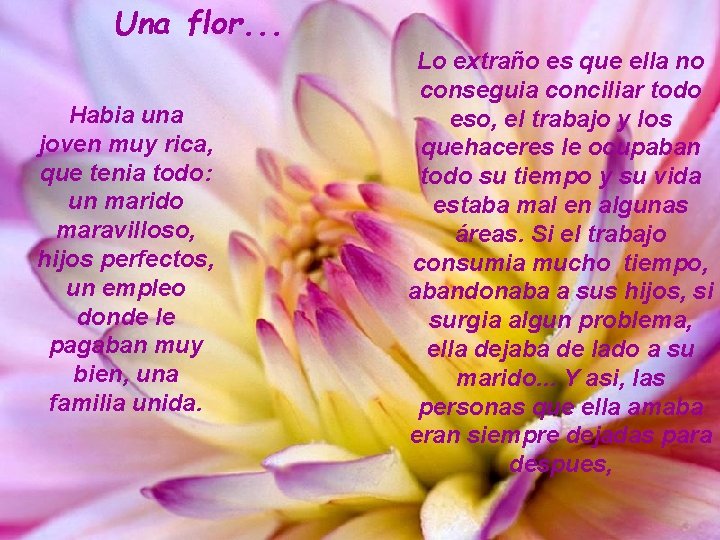 Una flor. . . Habia una joven muy rica, que tenia todo: un marido