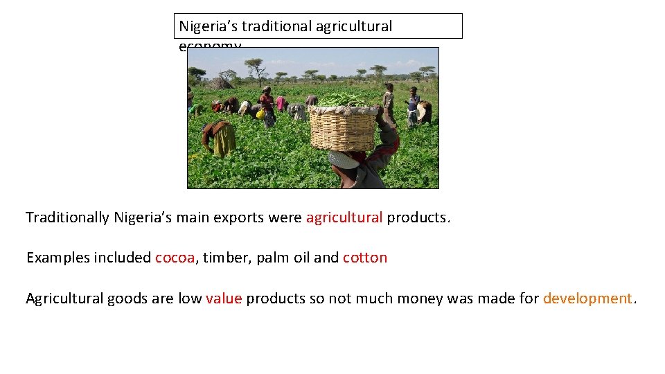 Nigeria’s traditional agricultural economy Traditionally Nigeria’s main exports were agricultural products. Examples included cocoa,