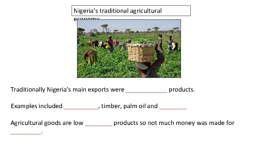 Nigeria’s traditional agricultural economy Traditionally Nigeria’s main exports were ______ products. Examples included _____,