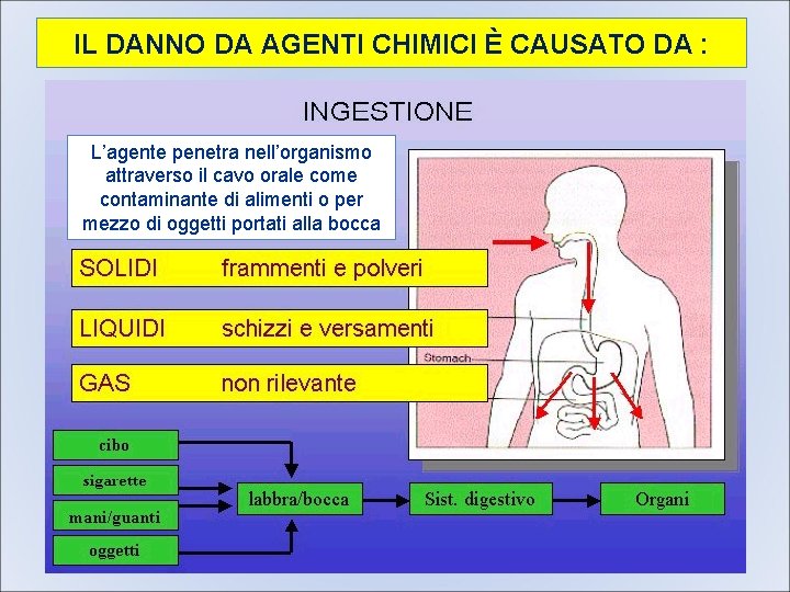 IL DANNO DA AGENTI CHIMICI È CAUSATO DA : L’agente penetra nell’organismo attraverso il