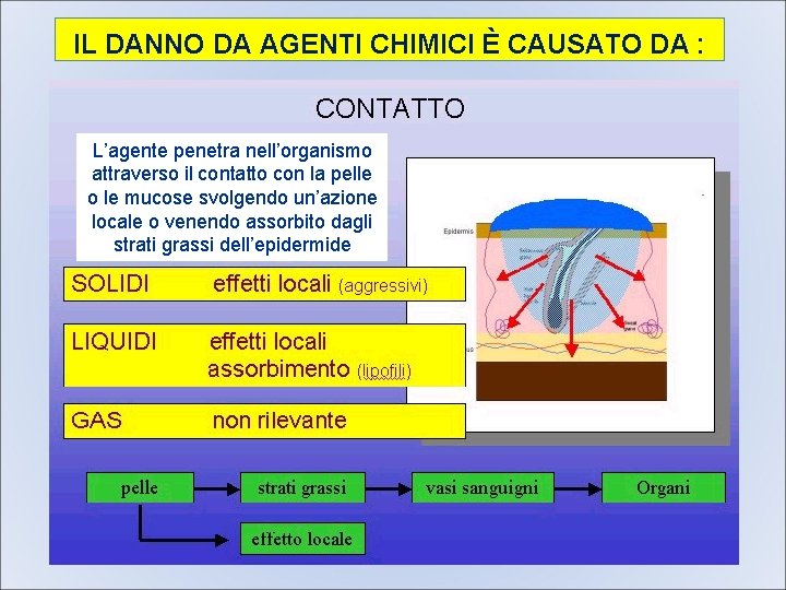 IL DANNO DA AGENTI CHIMICI È CAUSATO DA : L’agente penetra nell’organismo attraverso il