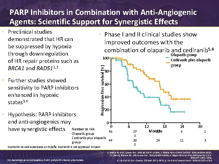 Progress in the Management of Ovarian Cancer Evolution