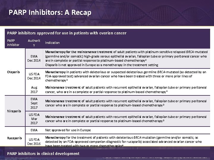 Progress in the Management of Ovarian Cancer Evolution