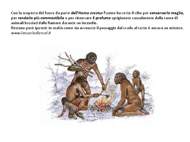 Con la scoperta del fuoco da parte dell’Homo erectus l’uomo ha cotto il cibo Con la scoperta del fuoco da parte dell’Homo erectus l’uomo ha cotto il cibo
