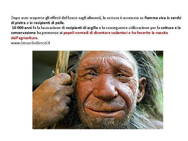 Dopo aver scoperto gli effetti del fuoco sugli alimenti, la cottura è avvenuta su Dopo aver scoperto gli effetti del fuoco sugli alimenti, la cottura è avvenuta su