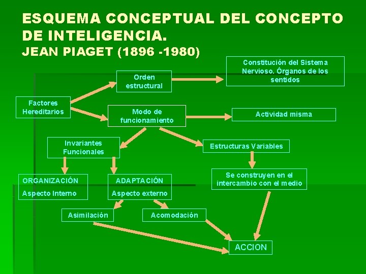 ESQUEMA CONCEPTUAL DEL CONCEPTO DE INTELIGENCIA. JEAN PIAGET (1896 -1980) Orden estructural Factores Hereditarios