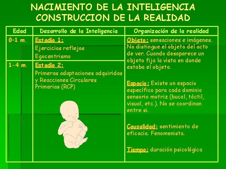 NACIMIENTO DE LA INTELIGENCIA CONSTRUCCION DE LA REALIDAD Edad Desarrollo de la Inteligencia Organización