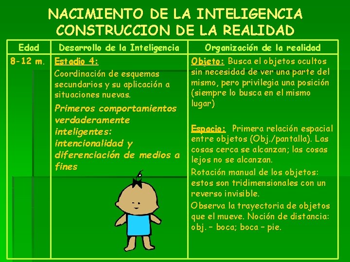 NACIMIENTO DE LA INTELIGENCIA CONSTRUCCION DE LA REALIDAD Edad Desarrollo de la Inteligencia 8