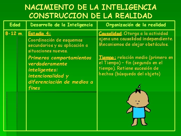 NACIMIENTO DE LA INTELIGENCIA CONSTRUCCION DE LA REALIDAD Edad Desarrollo de la Inteligencia 8