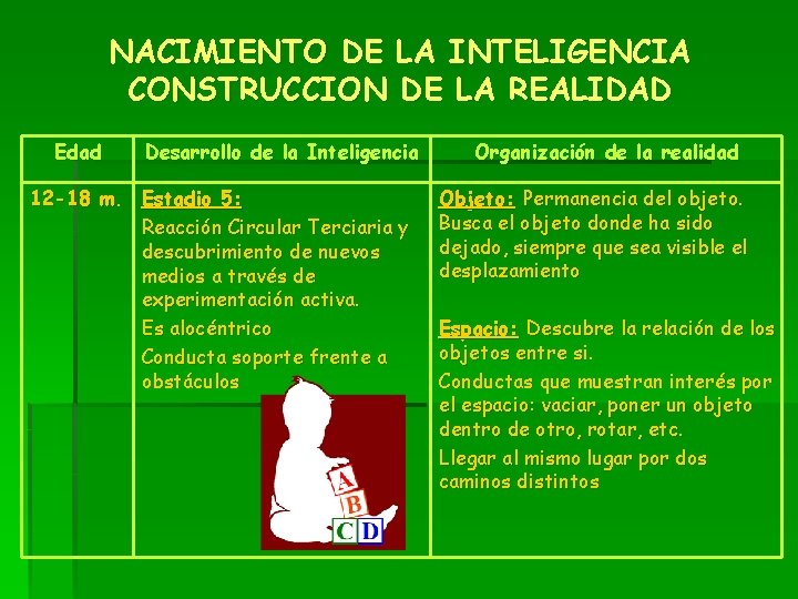 NACIMIENTO DE LA INTELIGENCIA CONSTRUCCION DE LA REALIDAD Edad Desarrollo de la Inteligencia 12