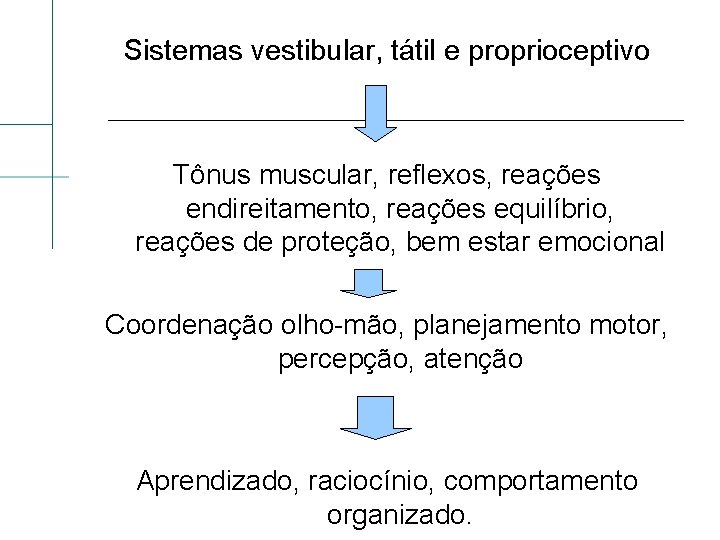 Sistemas vestibular, tátil e proprioceptivo Tônus muscular, reflexos, reações endireitamento, reações equilíbrio, reações de