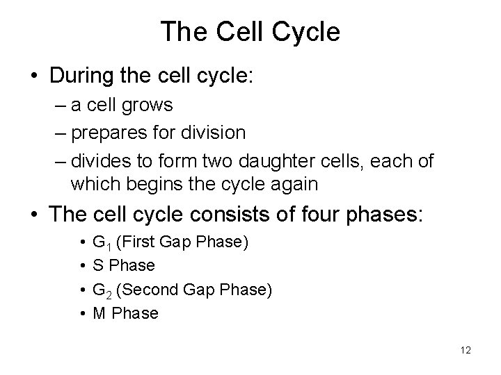 The Cell Cycle • During the cell cycle: – a cell grows – prepares