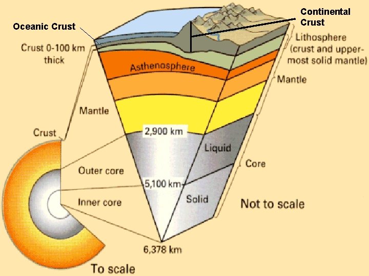 Oceanic Crust Continental Crust 