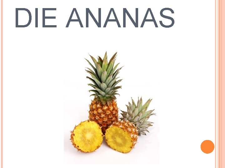 DIE ANANAS 