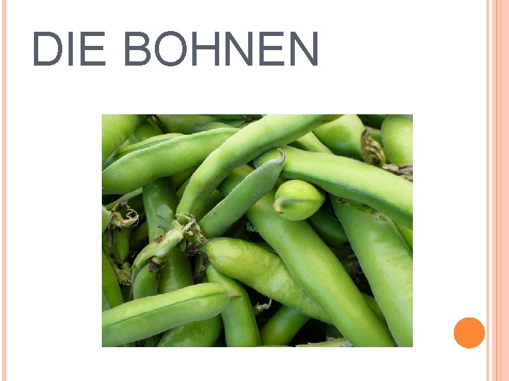 DIE BOHNEN 