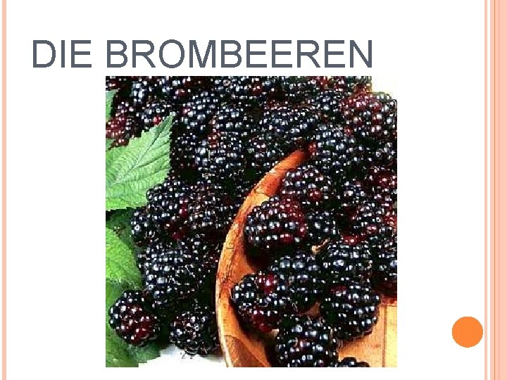 DIE BROMBEEREN 