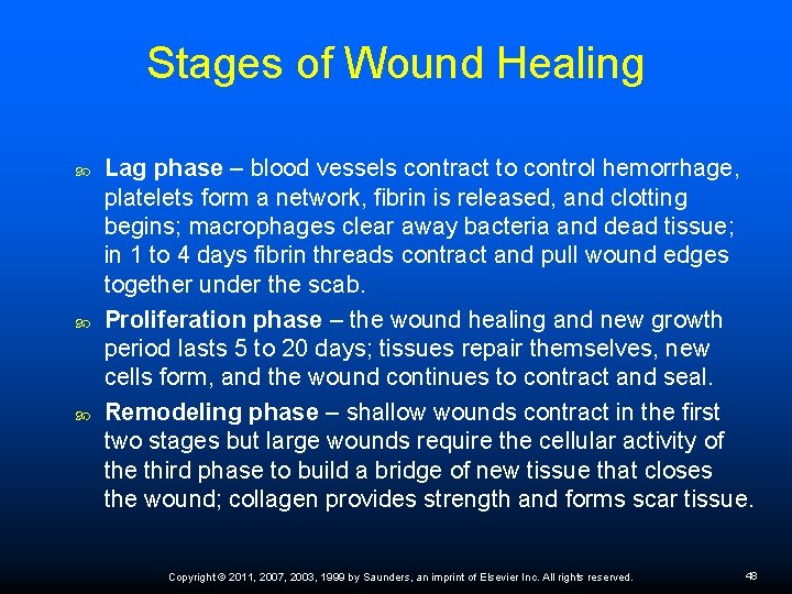 Stages of Wound Healing Lag phase – blood vessels contract to control hemorrhage, platelets