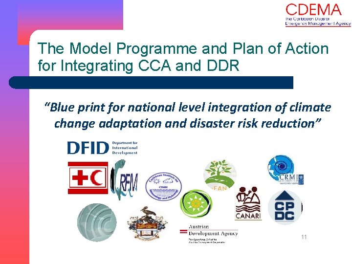 The Model Programme and Plan of Action for Integrating CCA and DDR “Blue print