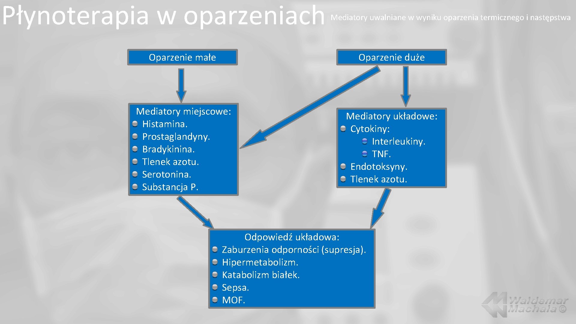 Płynoterapia w oparzeniach Mediatory uwalniane w wyniku oparzenia termicznego i następstwa Oparzenie małe Oparzenie