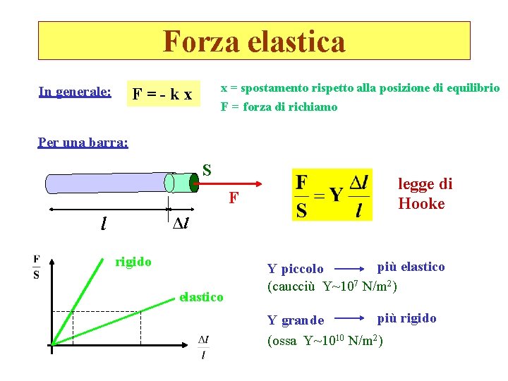 Forza elastica In generale: x = spostamento rispetto alla posizione di equilibrio F=-kx F