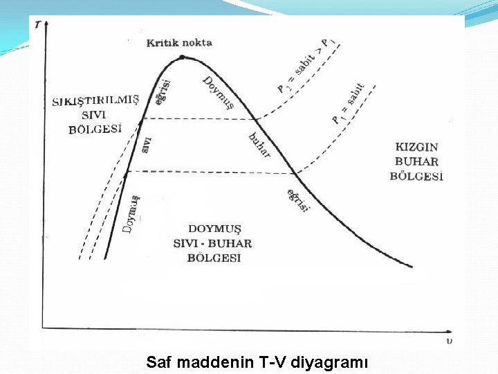 Saf maddenin T-V diyagramı 