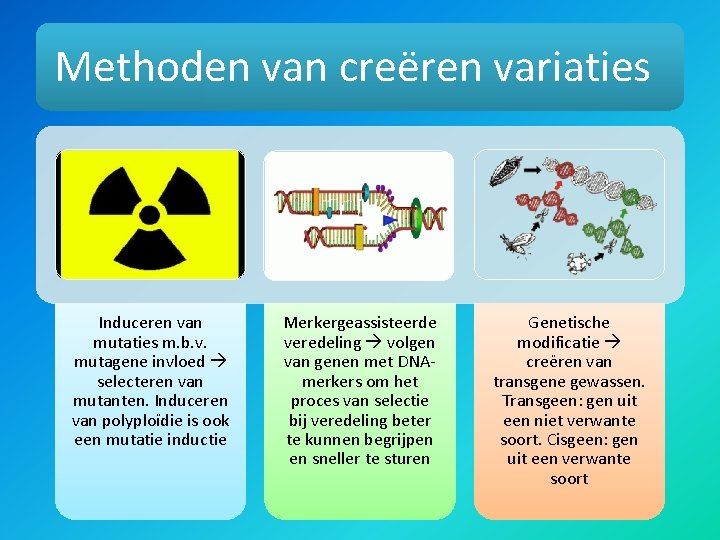 Methoden van creëren variaties Induceren van mutaties m. b. v. mutagene invloed selecteren van