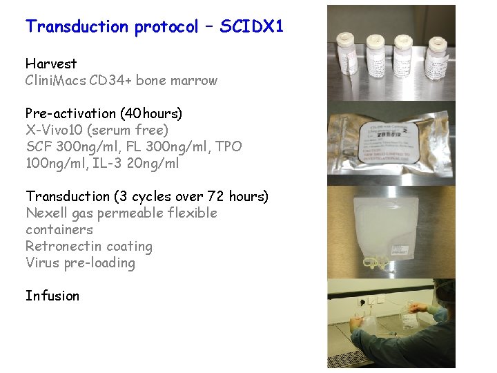 Transduction protocol – SCIDX 1 Harvest Clini. Macs CD 34+ bone marrow Pre-activation (40