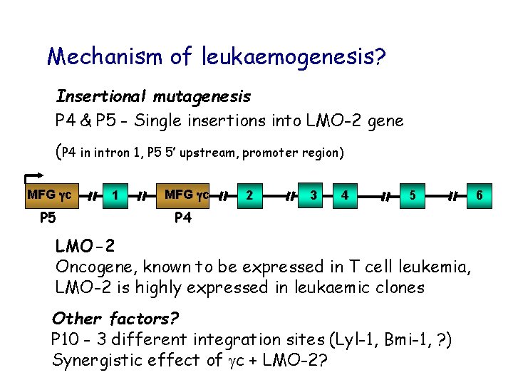 Mechanism of leukaemogenesis? Insertional mutagenesis P 4 & P 5 - Single insertions into