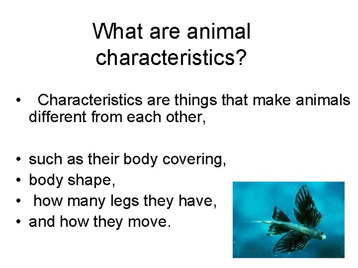 What are animal characteristics? • Characteristics are things that make animals different from each