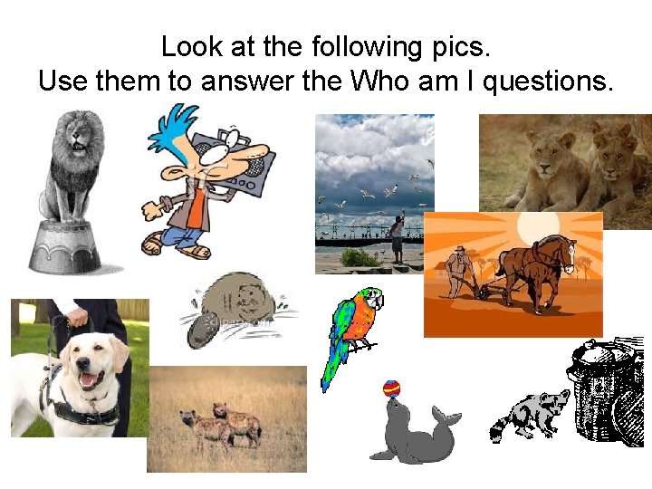 Look at the following pics. Use them to answer the Who am I questions.