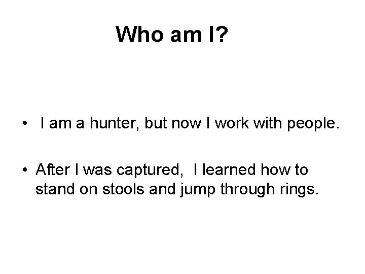  Who am I? • I am a hunter, but now I work with