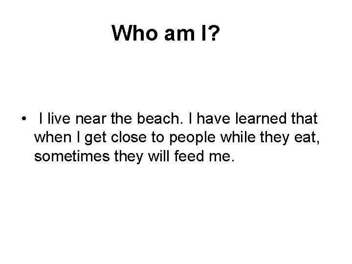  Who am I? • I live near the beach. I have learned that