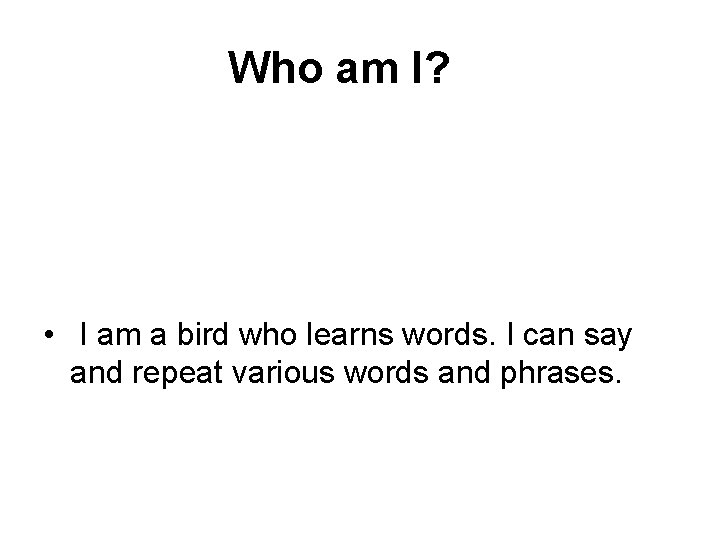  Who am I? • I am a bird who learns words. I can