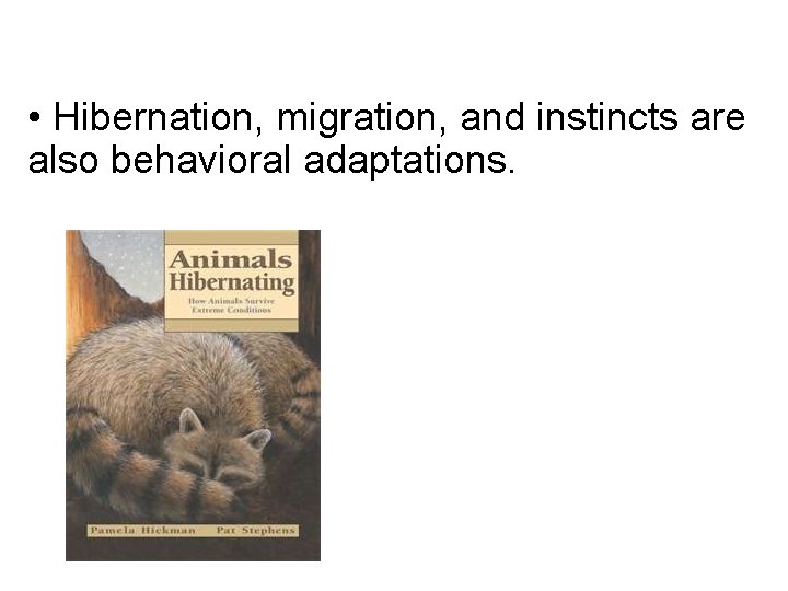  • Hibernation, migration, and instincts are also behavioral adaptations. 