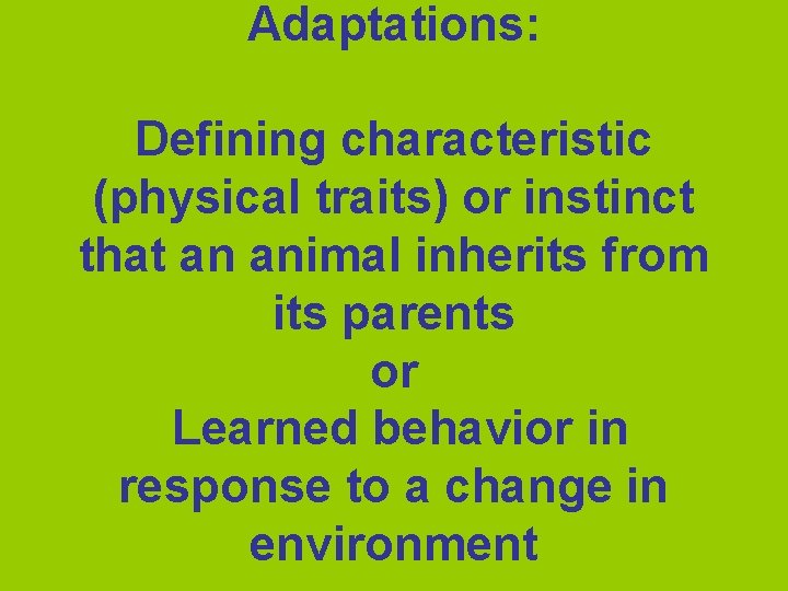 Adaptations: Defining characteristic (physical traits) or instinct that an animal inherits from its parents