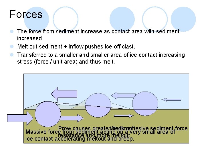 Forces l The force from sediment increase as contact area with sediment increased. l