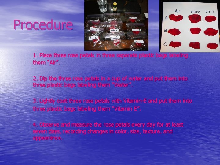 Procedure 1. Place three rose petals in three separate plastic bags labeling them “Air”.