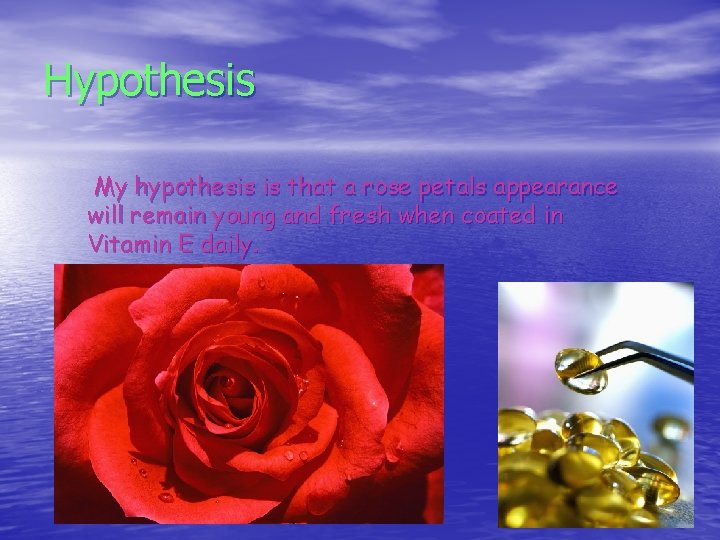 Hypothesis My hypothesis is that a rose petals appearance will remain young and fresh