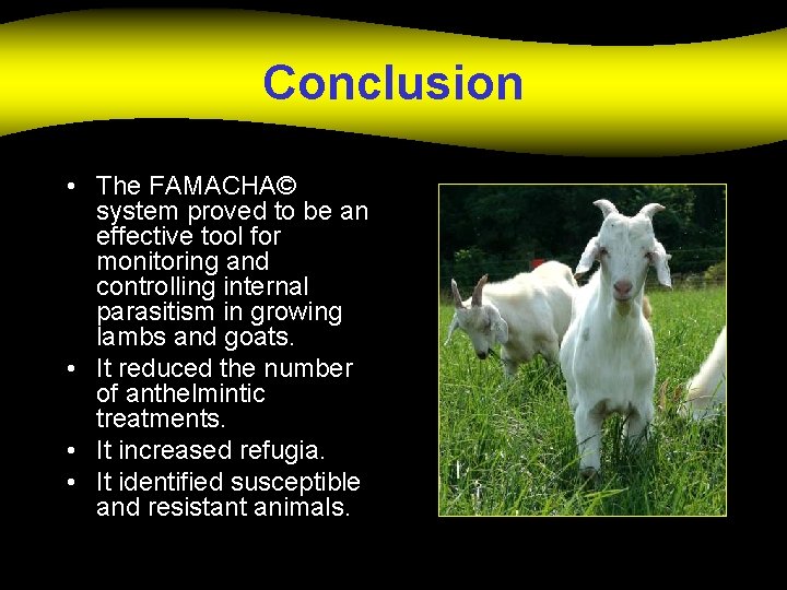 Conclusion • The FAMACHA© system proved to be an effective tool for monitoring and