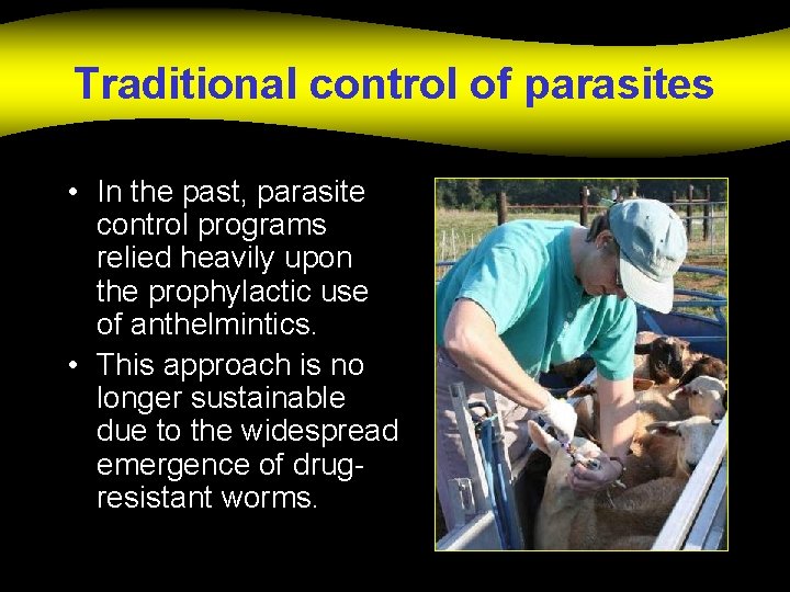 Traditional control of parasites • In the past, parasite control programs relied heavily upon