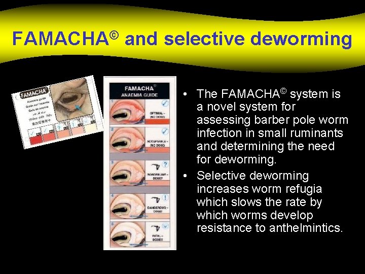FAMACHA© and selective deworming • The FAMACHA© system is a novel system for assessing