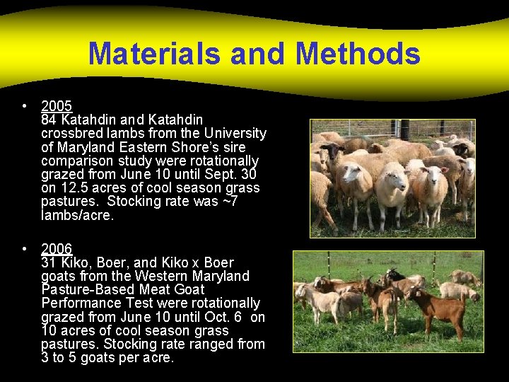 Materials and Methods • 2005 84 Katahdin and Katahdin crossbred lambs from the University