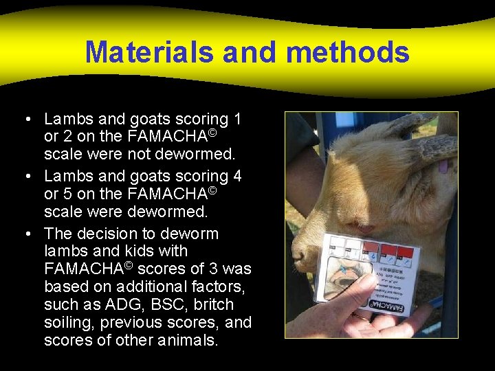 Materials and methods • Lambs and goats scoring 1 or 2 on the FAMACHA©
