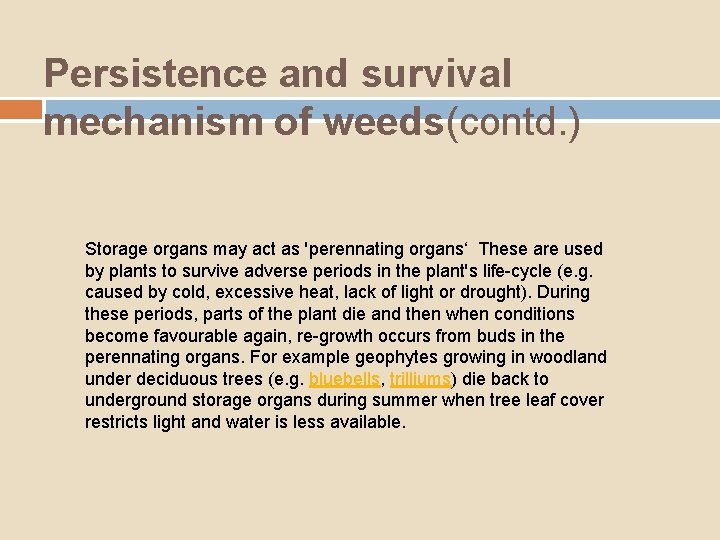 Persistence and survival mechanism of weeds(contd. ) Storage organs may act as 'perennating organs‘