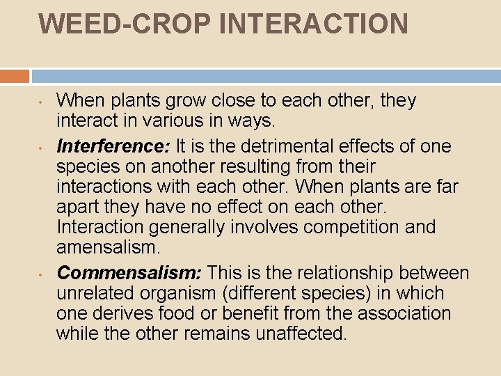 WEED-CROP INTERACTION • • • When plants grow close to each other, they interact